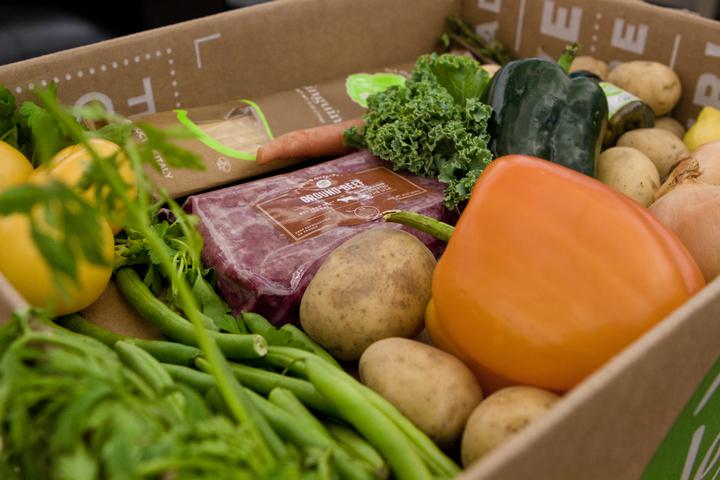 Alles, was du über HelloFresh & Marley Spoon wissen musst. Erfahre, wer in Österreich führt.