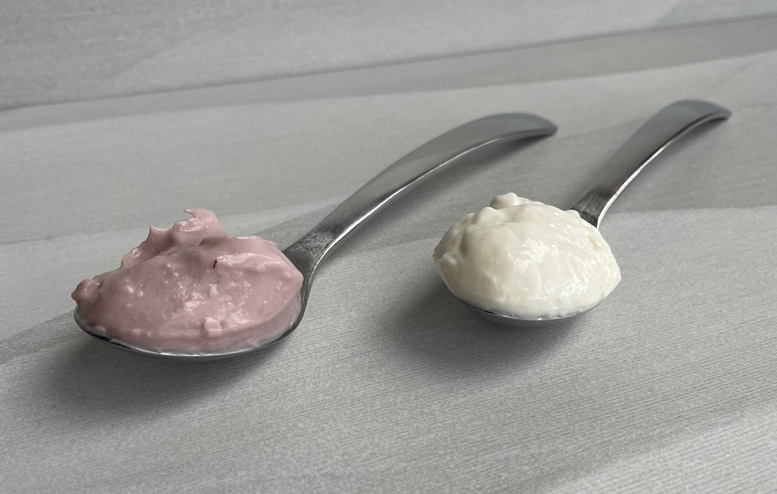 Culina, The Non-Dairy Yogurt Everyone Is Talking About