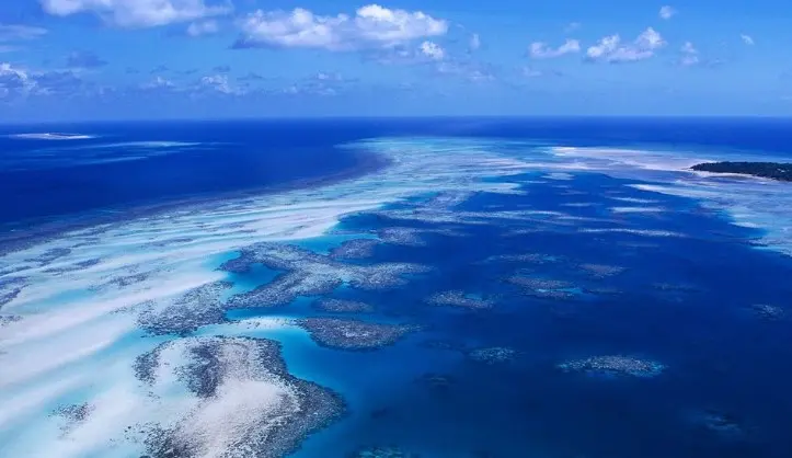 Australian Coral Reef - Fanpop