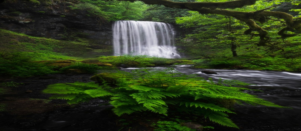7 Natural Wonders of The Amazon Rainforest