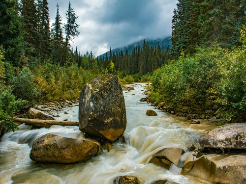 u200bTongass National Forest