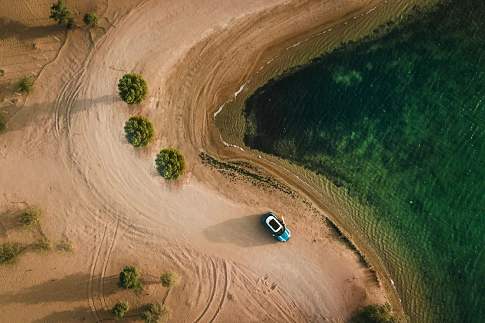 Photo Credit: The Lazy Artist Gallery/ Pexels