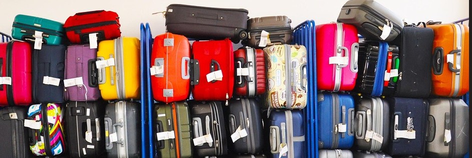 U.S. Airlines Rake in $7.2 Billion in Baggage Fees In 2024