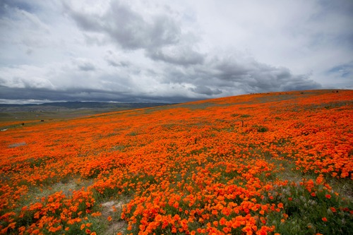 Lancaster, CA