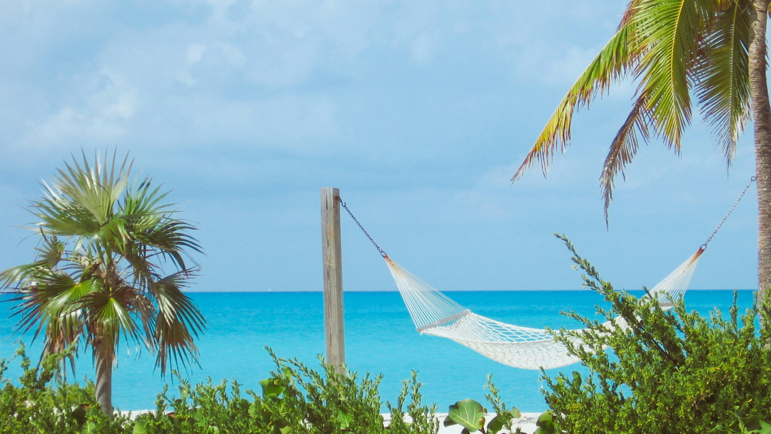 You Could Win a Free Trip to the Bahamas — Here’s How