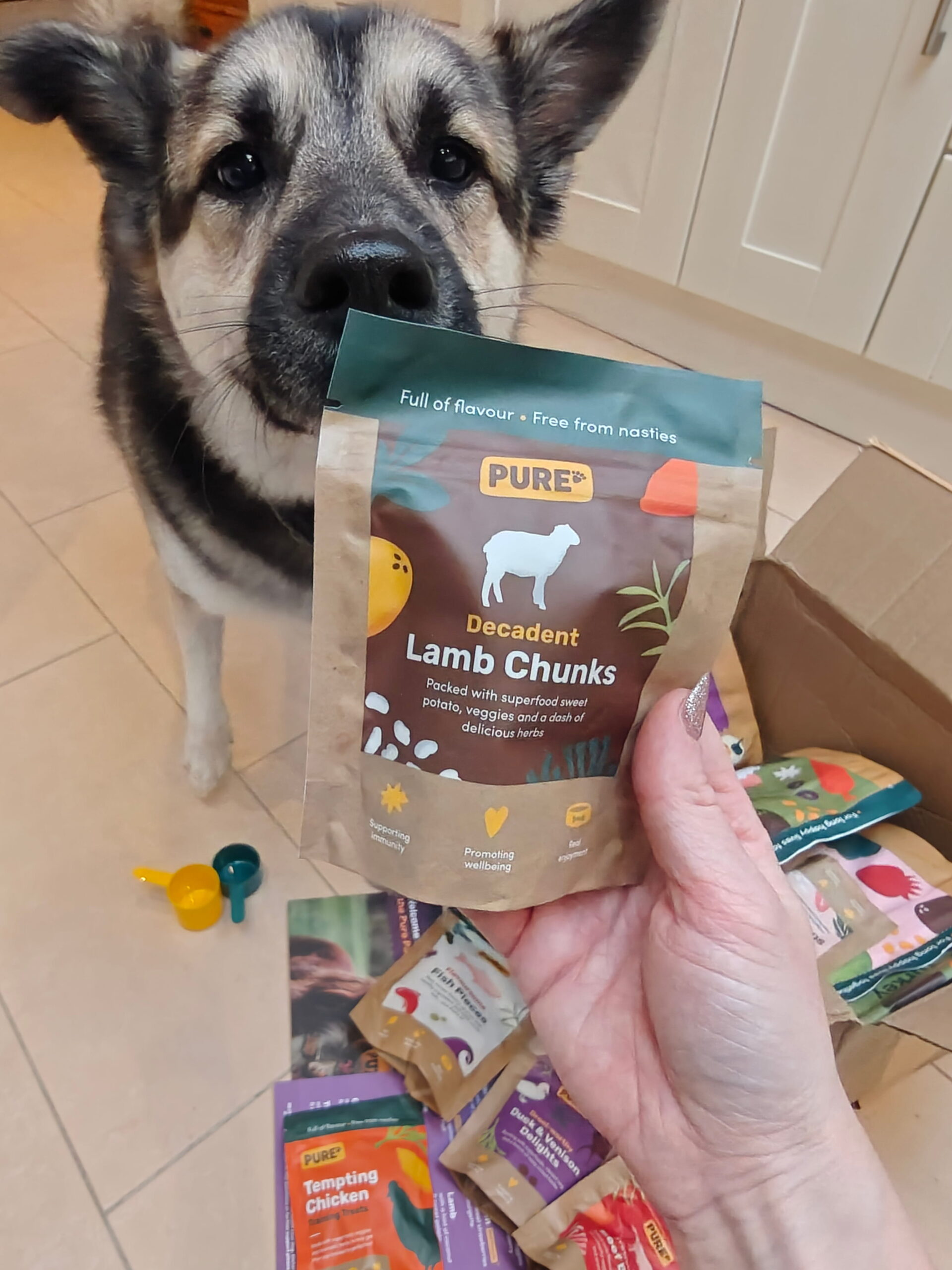 8 Things I Wish I’d Known About Pure Pet Food Sooner